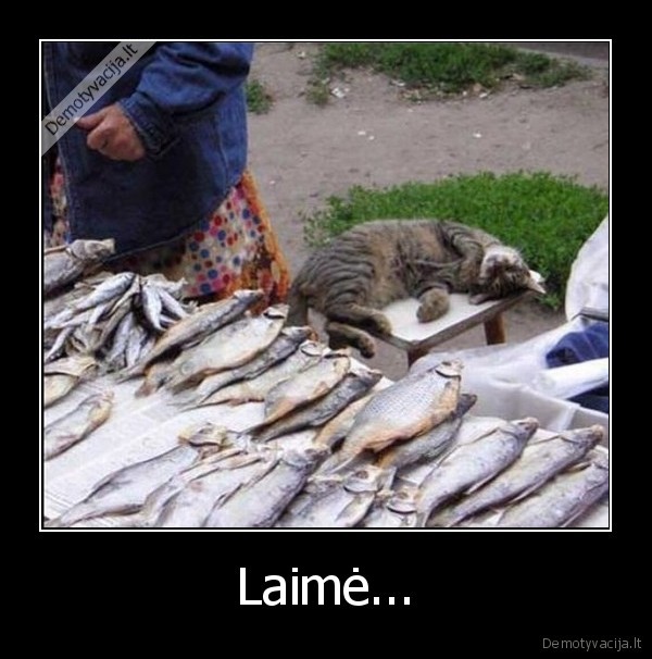 laime