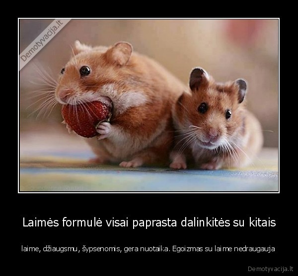laime,egoizmas,formule,dziaugsmas,laime
