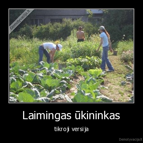 laimingas, ukininkas,ukininkas,fermeris,tikroji, versija