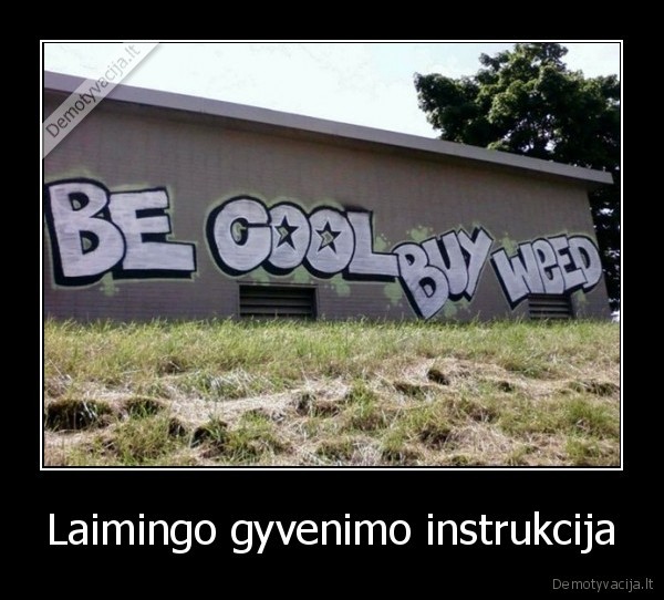 zole,kietas,pirk,grafiti,siena,laime,vaikai,nevartokit,narkotiku