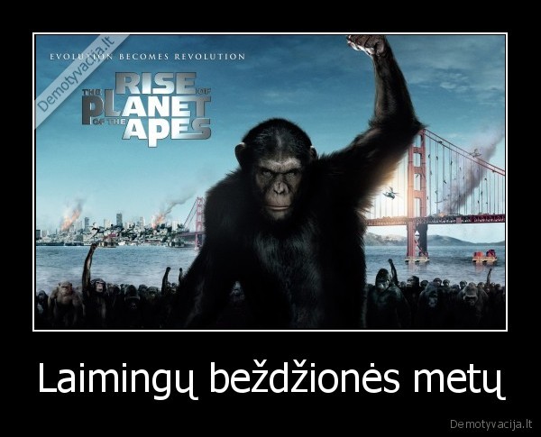 2016,bezdziones,metai