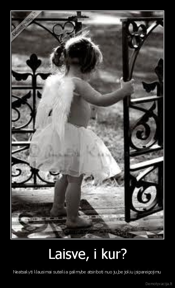 Laisve, i kur?
