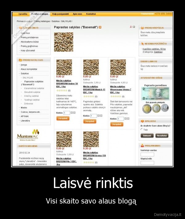 alus,blogas,laisve, rinktis