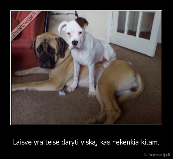 Laisvė yra teisė daryti viską, kas nekenkia kitam.