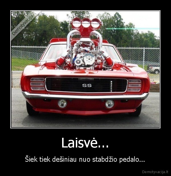 lasive,automobiliai,sportas,greitis, veza,laisvas, zmogus