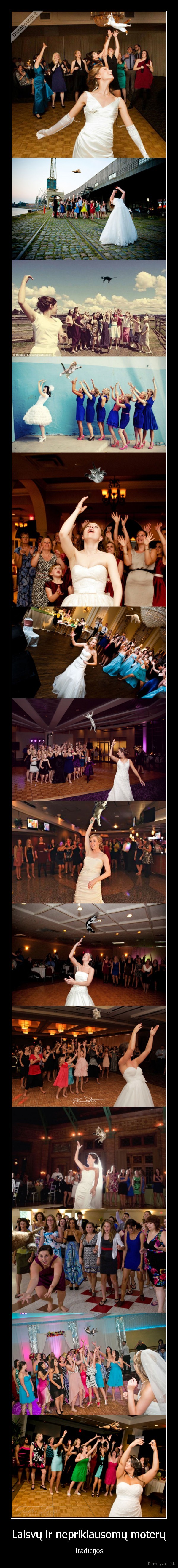 vestuves,katino, metimas,katiniuko, metimas