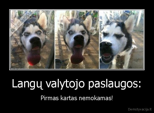 Langų valytojo paslaugos: