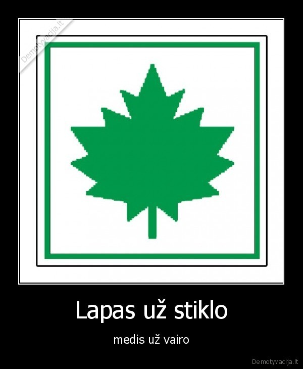 Lapas už stiklo