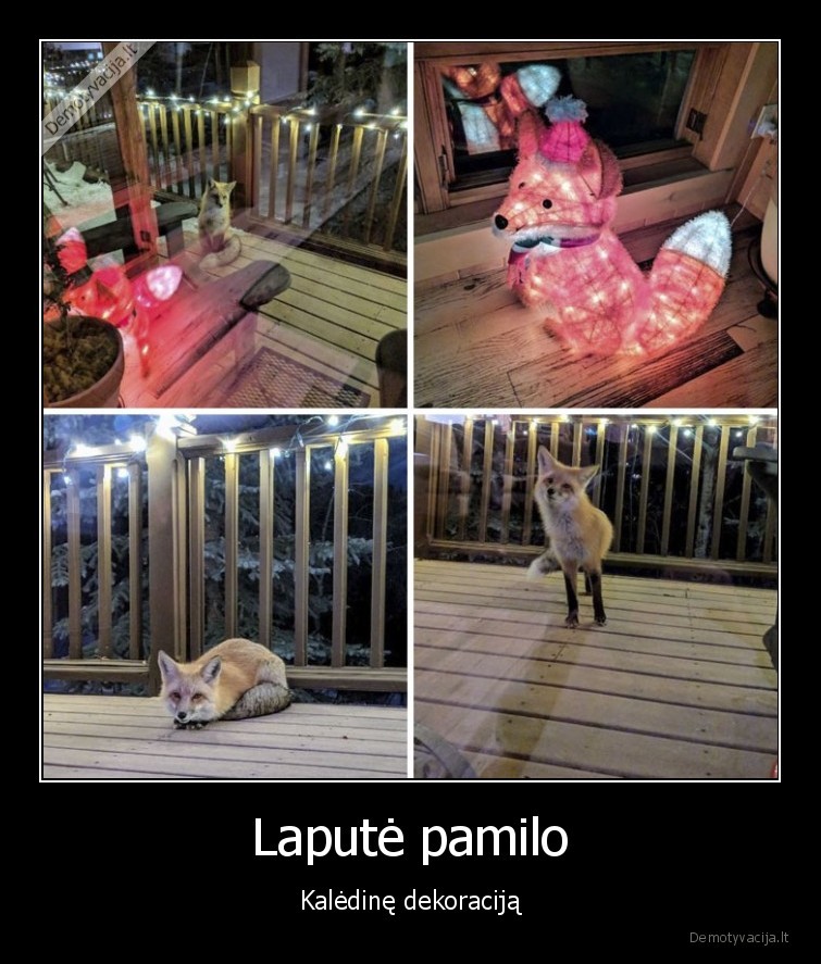 lape,lapute,kaledos,kaledu, dekoracija