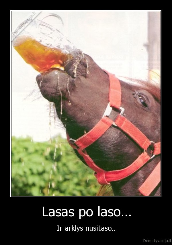 Lasas po laso...