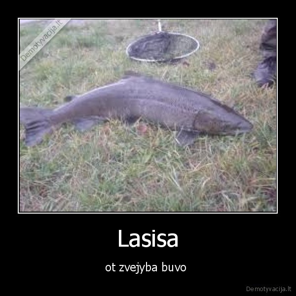 Lasisa