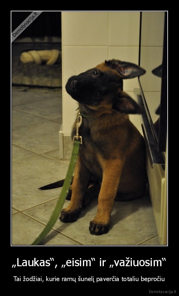 „Laukas“, „eisim“ ir „važiuosim“