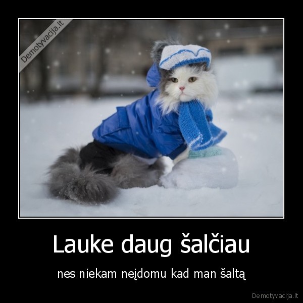 Lauke daug šalčiau