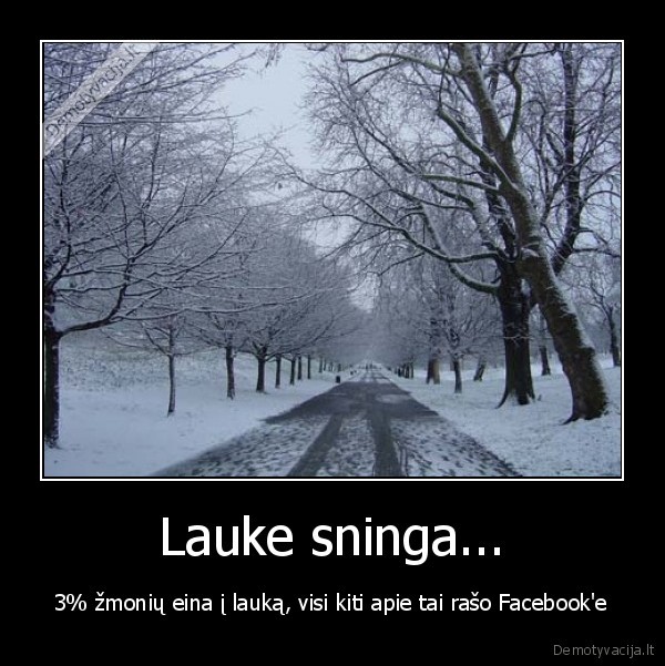 facebook, sniegas, kaledos, snow