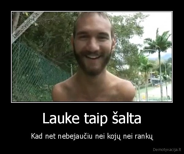 Lauke taip šalta