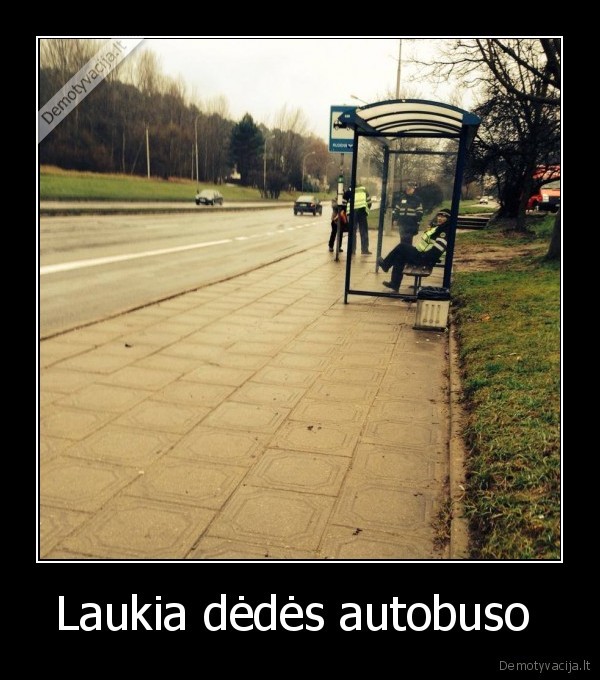 Laukia dėdės autobuso 