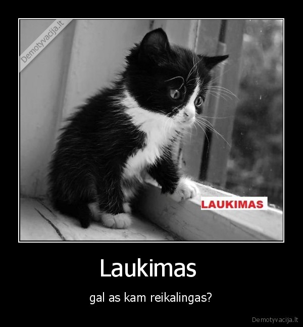 Laukimas 