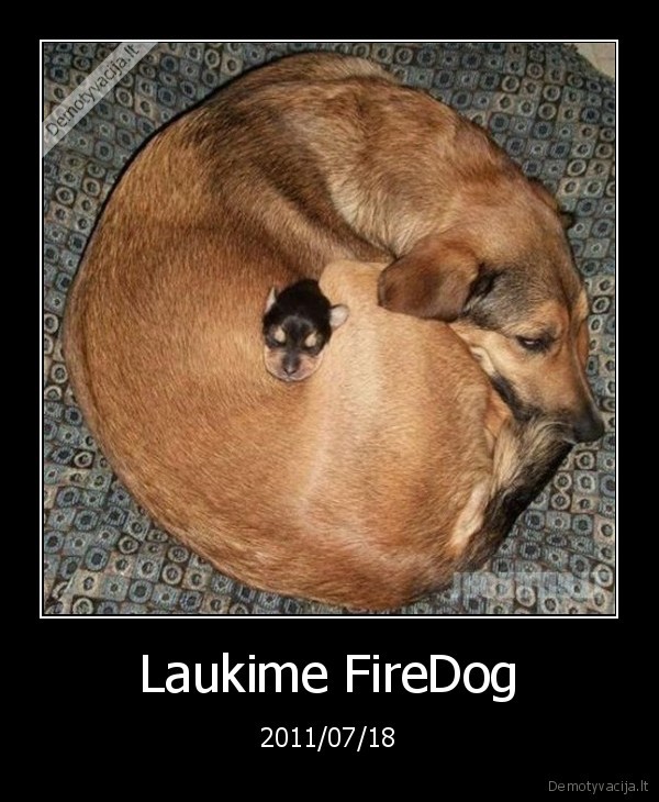firefox,fire,fox,laukiu