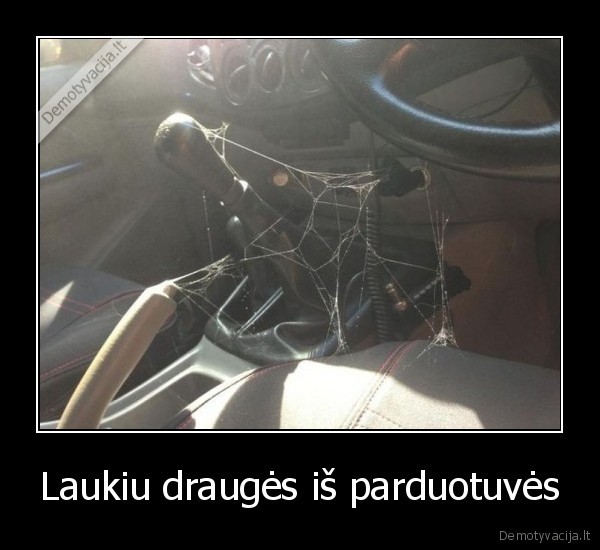 Laukiu draugės iš parduotuvės