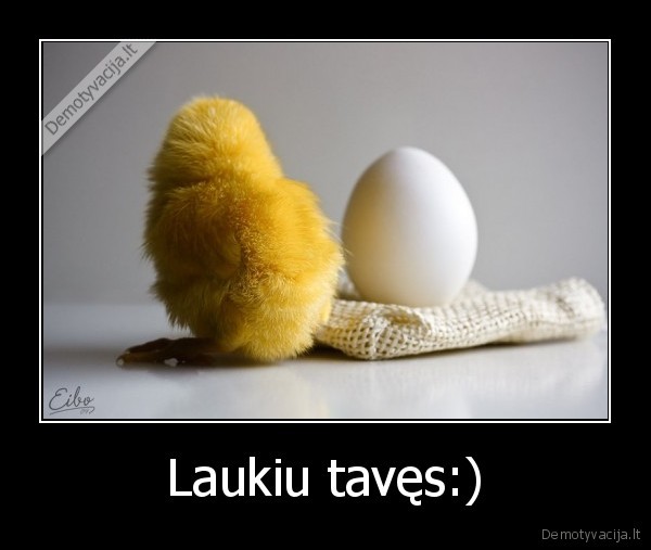 Laukiu tavęs:)