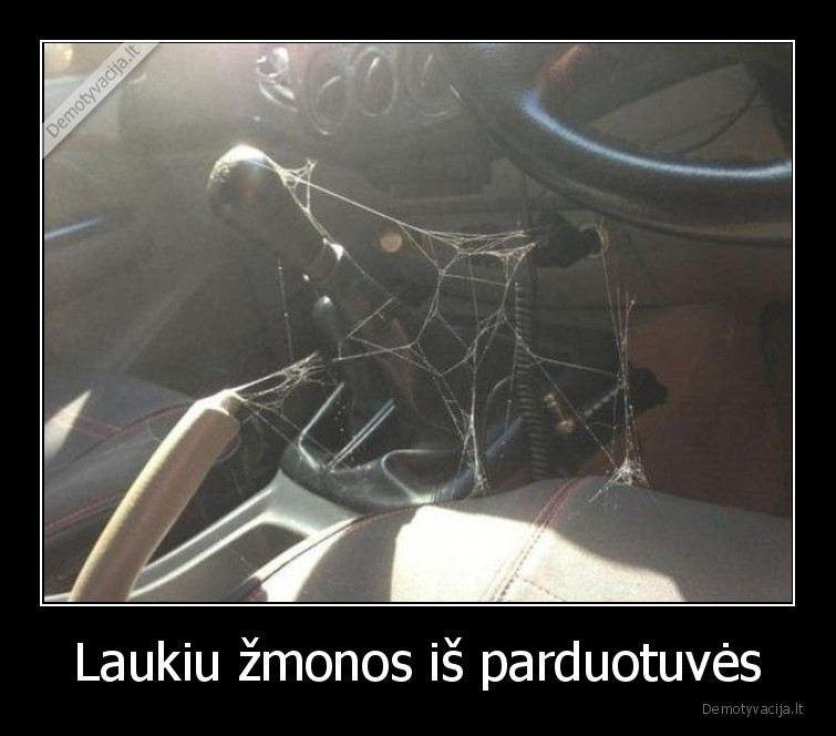 zmona,parduotuve,masina,voratinklis