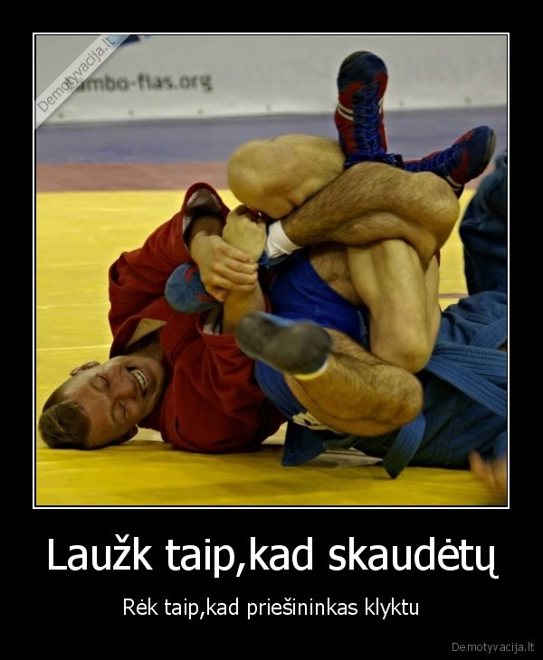 sambo,natas, akmanavicius