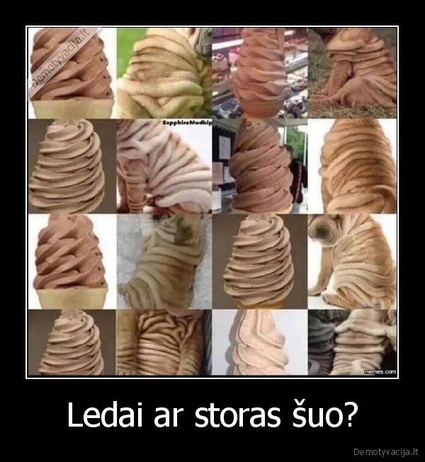 suo,ledai,storas,panasu