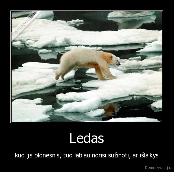 ledas,atlaikymas,noras,suzinoti,ledo, lokys