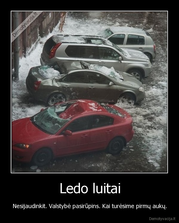 ledas,ledo, luitai,valstybe,ziema,pavasaris,auskos