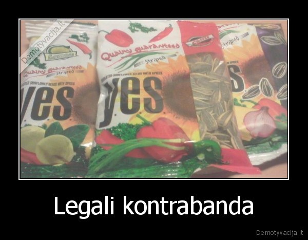 saulegrazos,kontrabanda