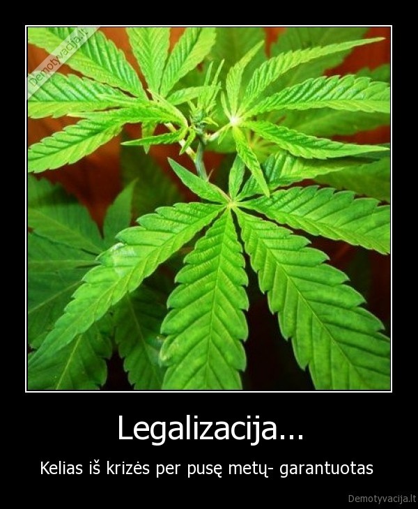 Legalizacija...