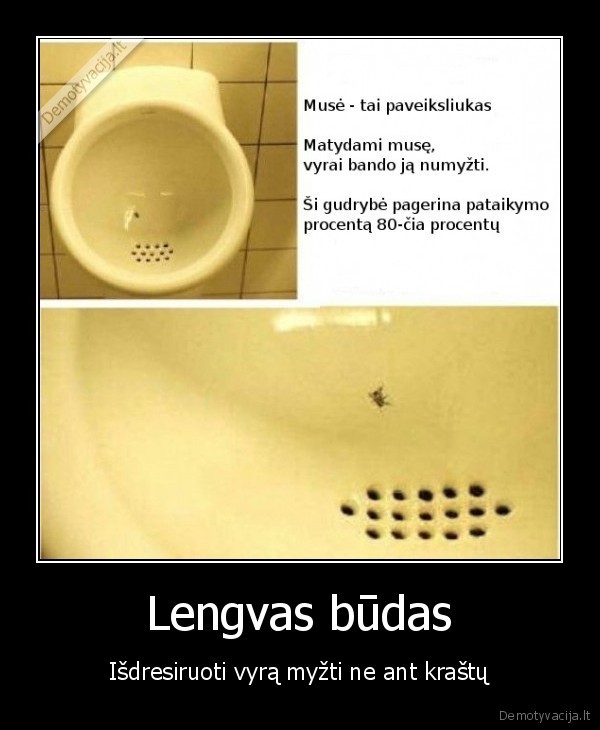 gudrybe,vyrai,slapinimasis, ant, krastu,prostata,issukis