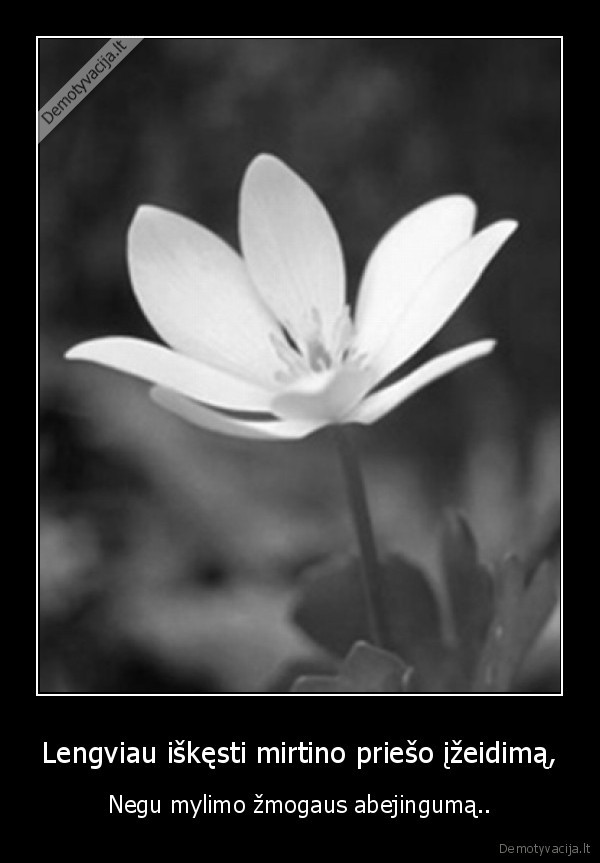 Lengviau iškęsti mirtino priešo įžeidimą,