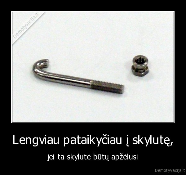 lengviau, pataikyciau, i, skyle,jei, ta, skyle, butu, apzelusi,skylute,apzelusi