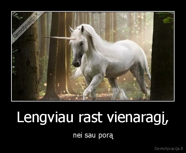 vienaragis,pora