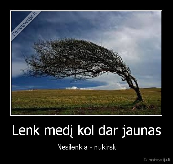 Lenk medį kol dar jaunas