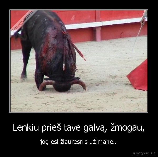 Lenkiu prieš tave galvą, žmogau,