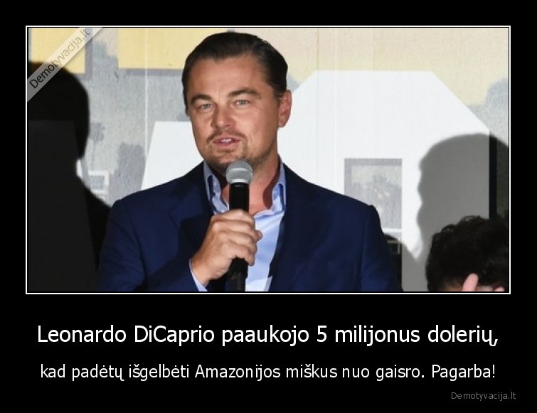 leonardo, dicaprio,amazonija,gaisras
