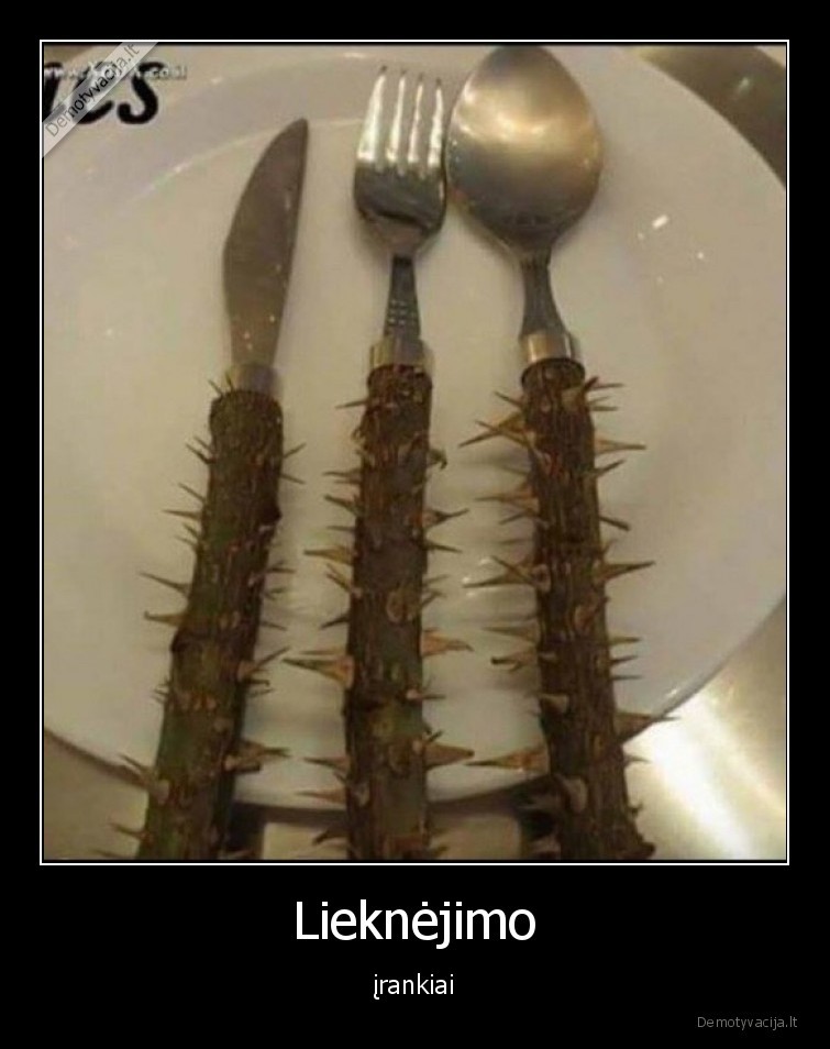 liekneti,dieta