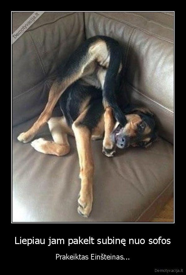 protingas, suo,juokingas, suo