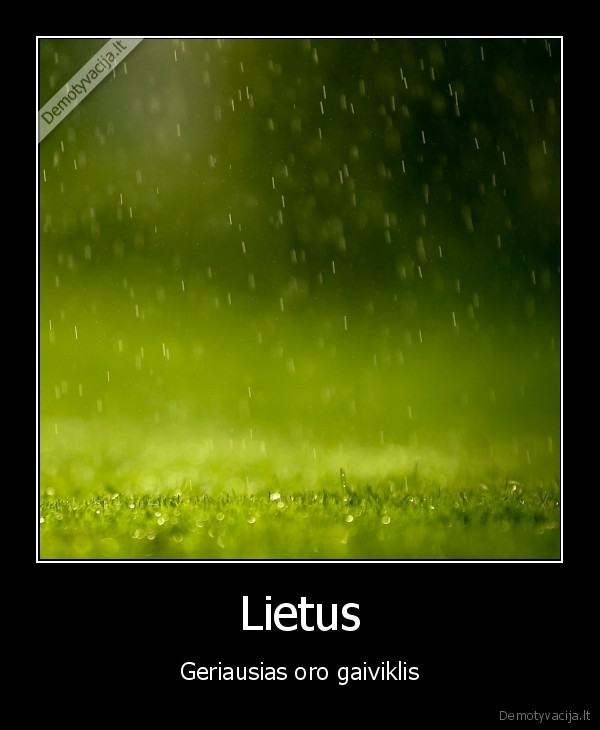 Lietus