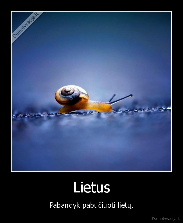 Lietus