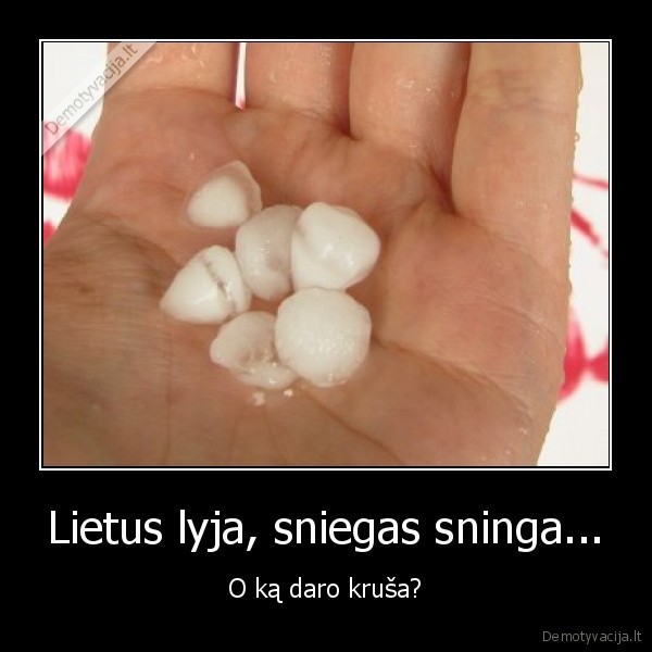 Lietus lyja, sniegas sninga...