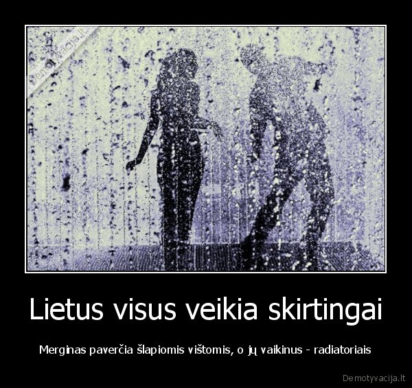 vista,radiatorius,mylinemyli,zebrasbedryzeliu