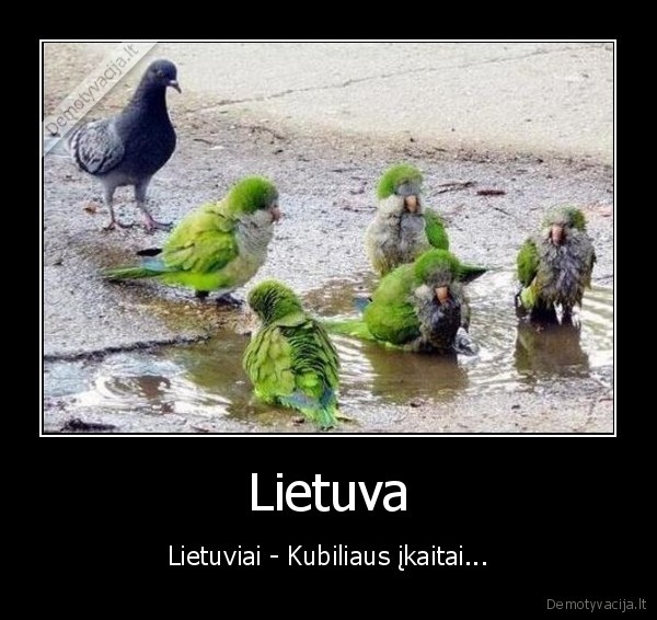 Lietuva