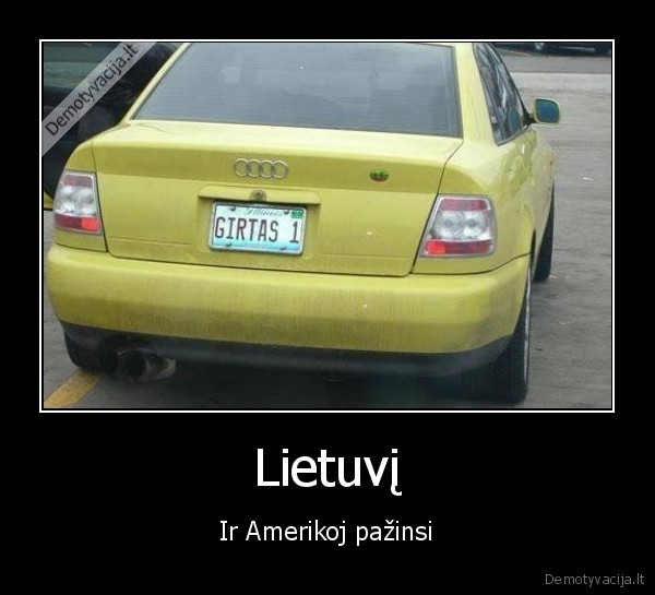lietuvis, amerikoje,audi, jav,masinos, numeriai
