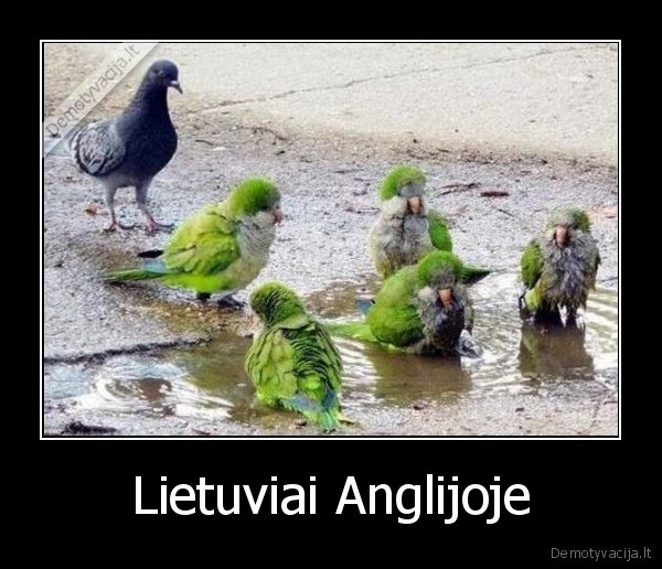 lietuviai,anglijoje,anglija