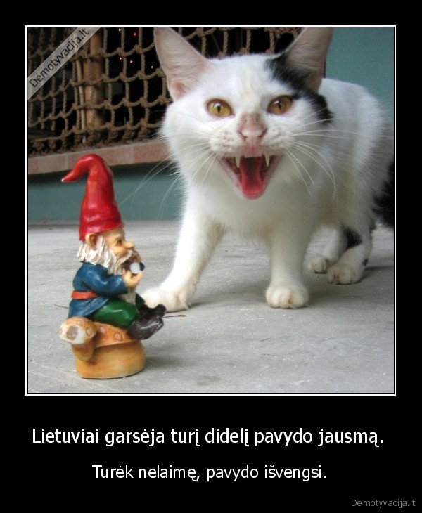 Lietuviai garsėja turį didelį pavydo jausmą. 