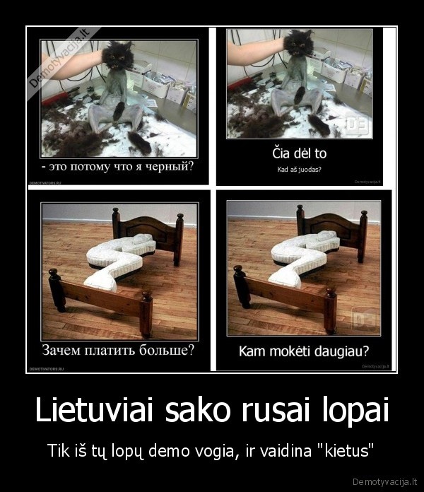 lietuviai,rusai,demotyvacija,uzknyso