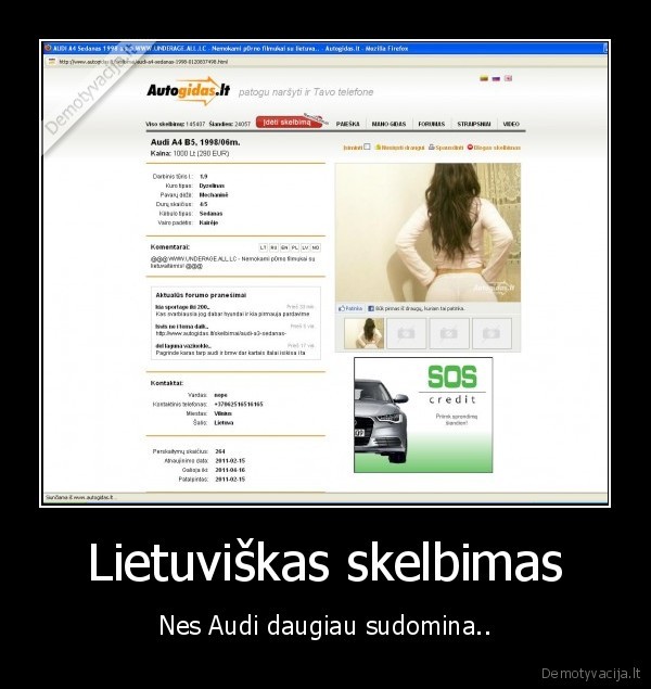 kibilius, skriaudzia, lietuva